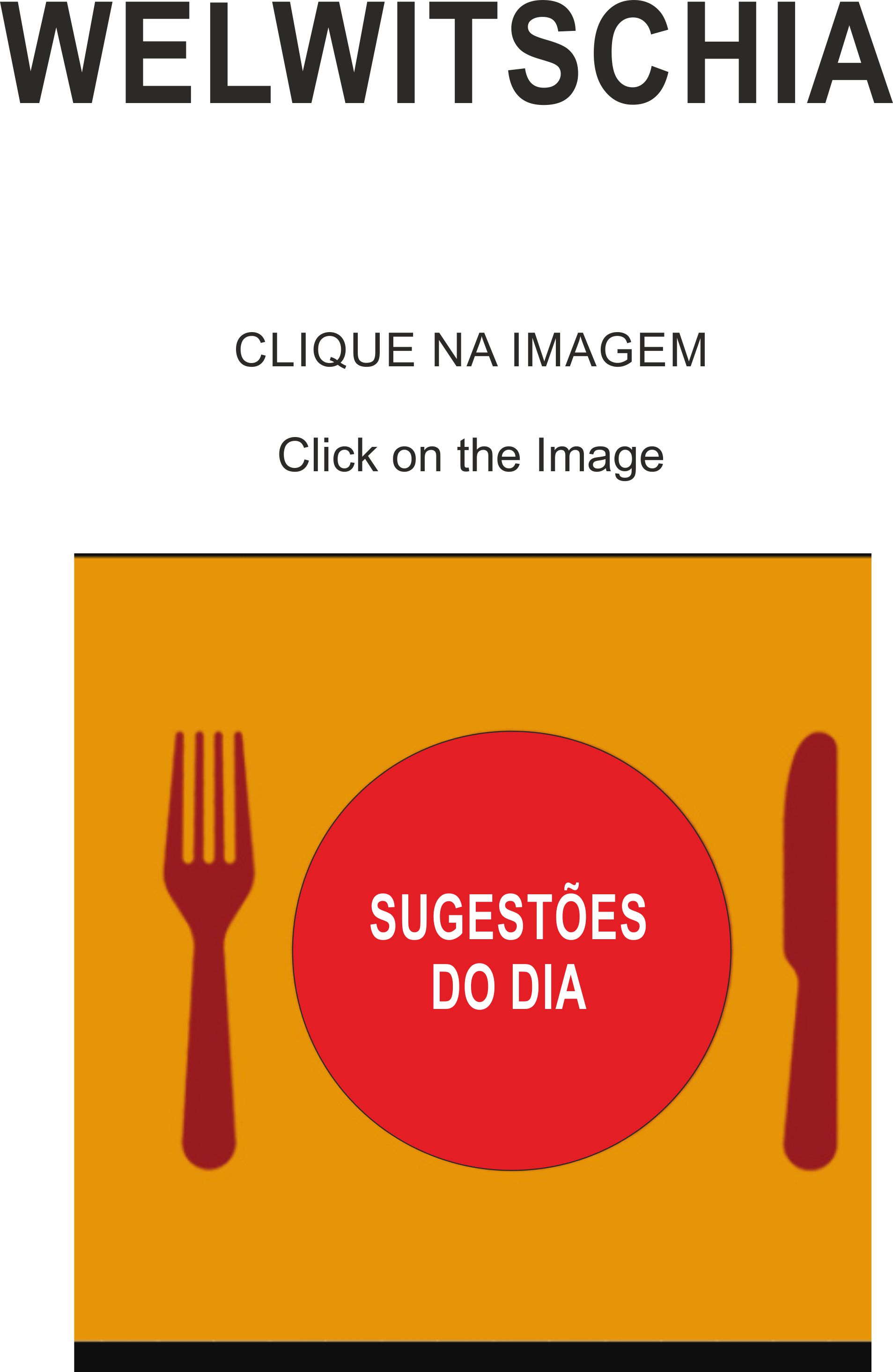 Menu Welwitschia página 1