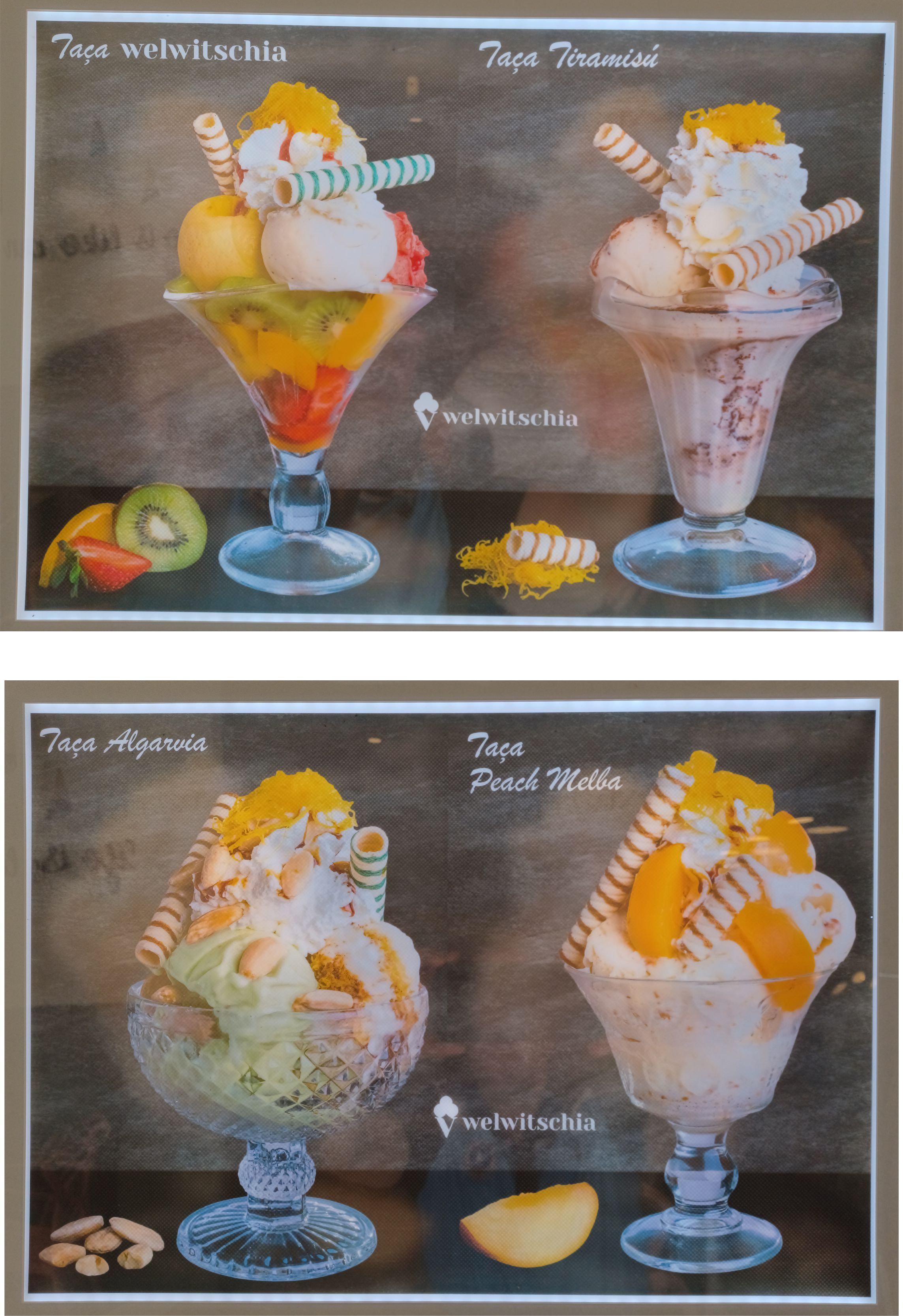 Menu Welwitschia página 3