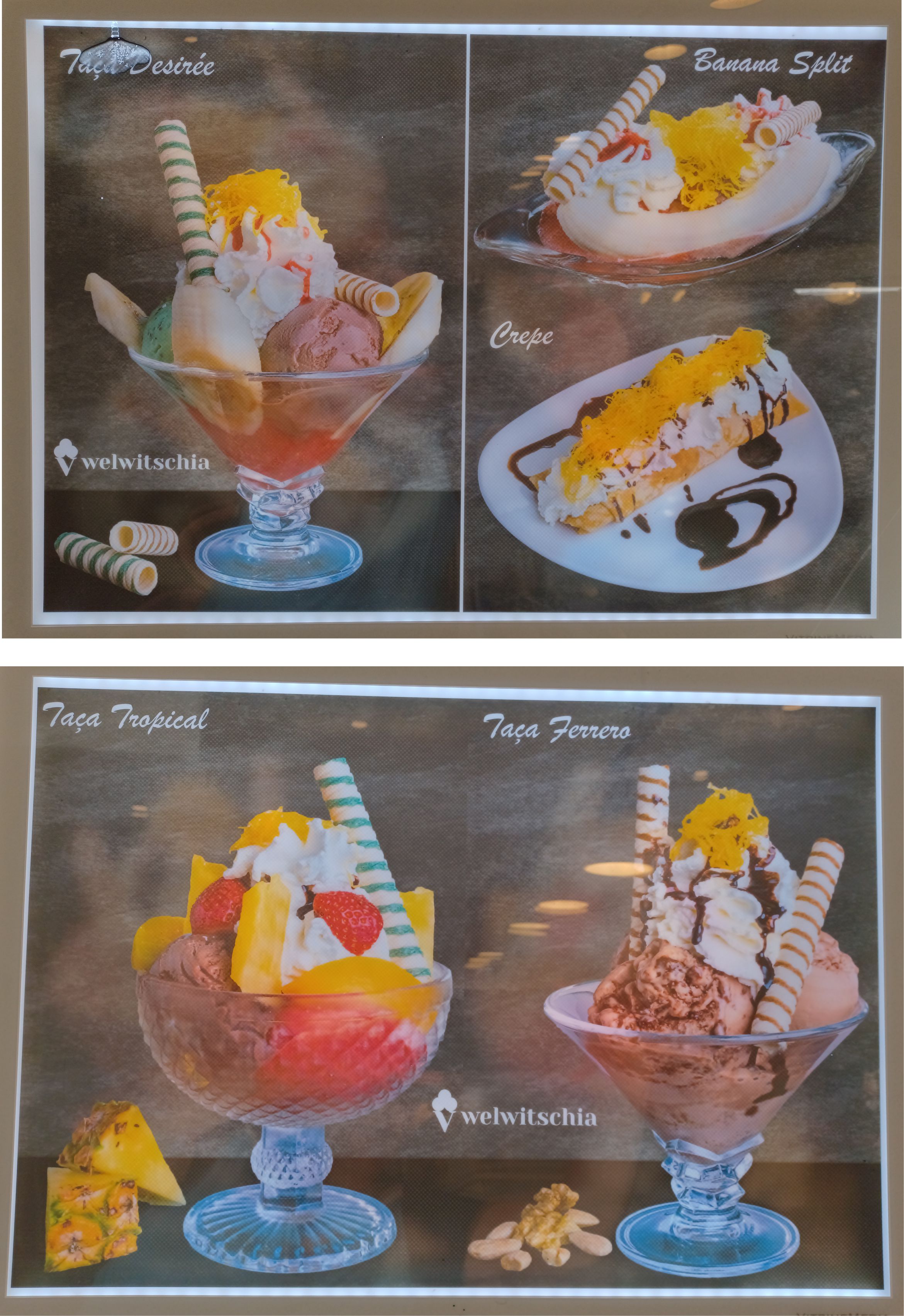 Menu Welwitschia página 4